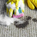 Carpet Cleaning Lutwyche