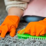 Carpet Cleaning Kelvin Grove