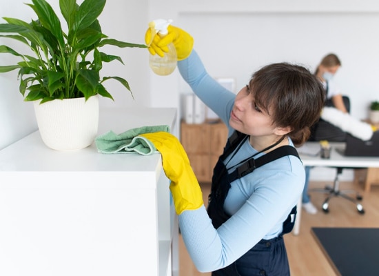 End Of Lease Cleaning Newstead