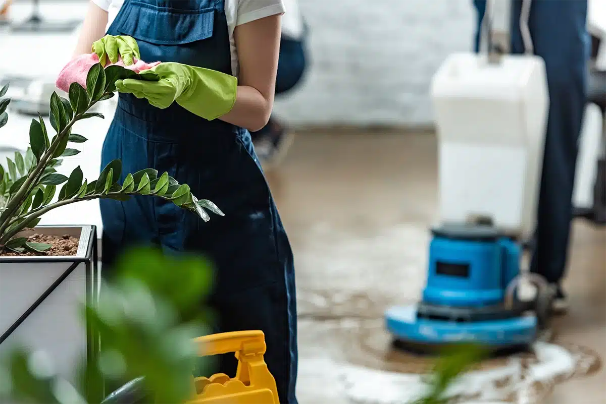 Bond Cleaning Norman Park