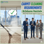 Carpet Cleaning Requirements in Brisbane Rentals: What Real Estate Agents Look For