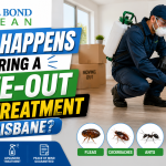 What Happens During a Move-Out Pest Treatment in Brisbane? What Happens During a Move-Out Pest Treatment in Brisbane