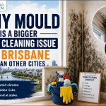 Brisbane rental mould cleaning